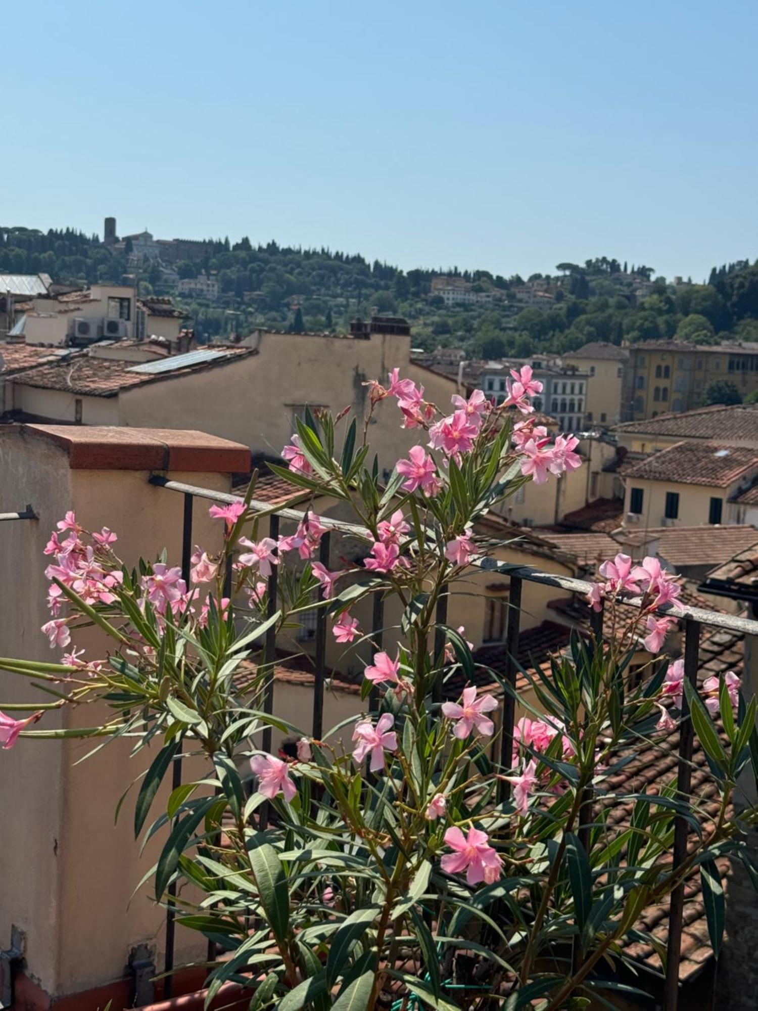 Firenze Panorama Suite & Terrace Eksteriør bilde